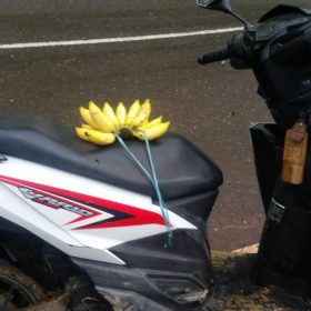 ostrov Flores výlet na skůtru