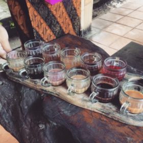 Bali ochutnávka kávy