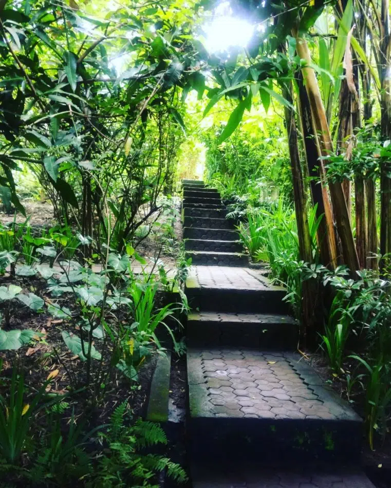 Bali zahrada